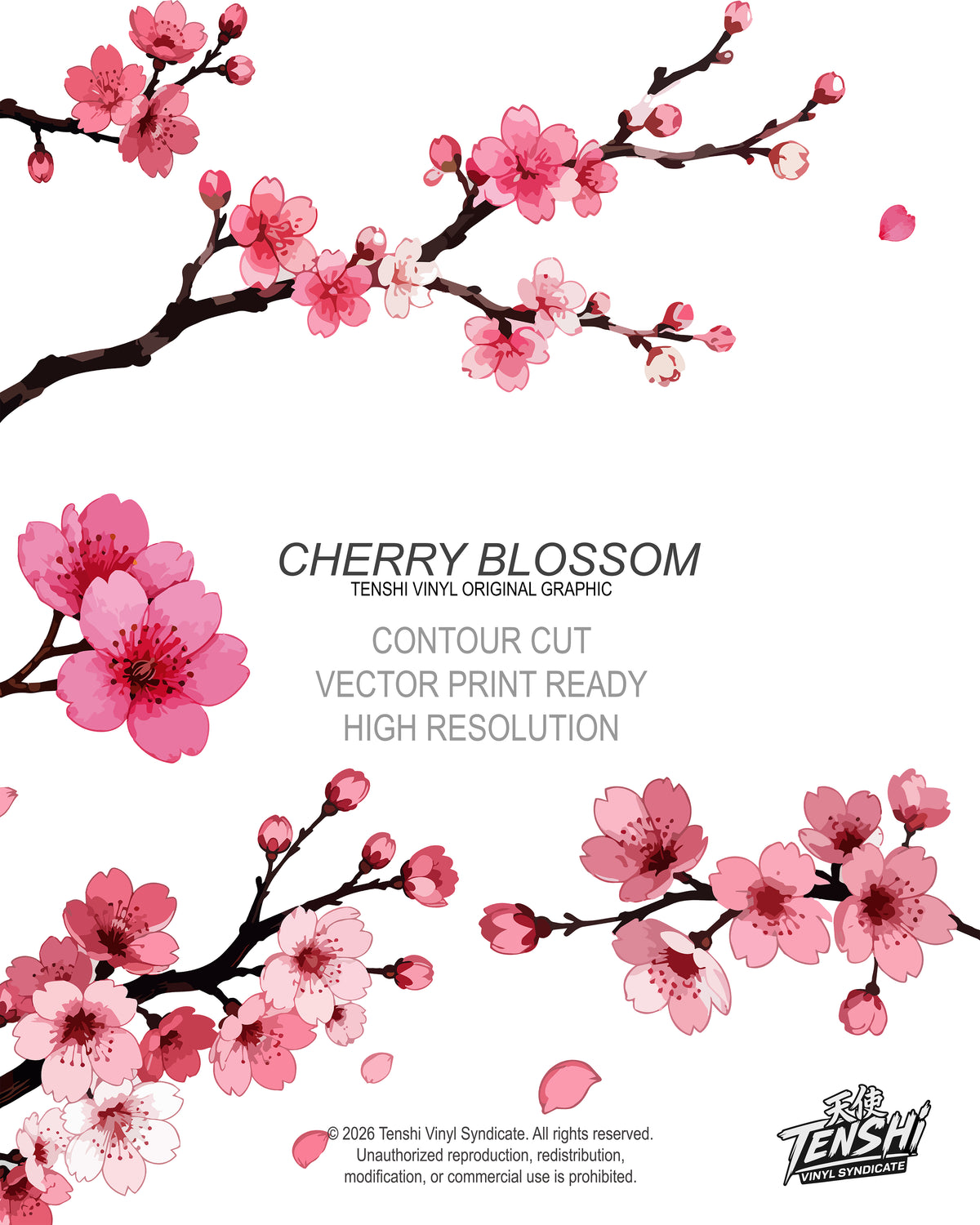 Cherry Blossom
